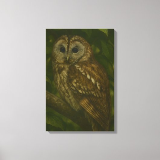 Forest Sentinel - Tawny Owl Wildlife Art Canvas Afdruk (Voorkant)