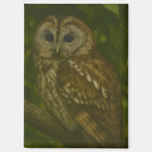 Forest Sentinel - Tawny Owl Wildlife Art Magneet
