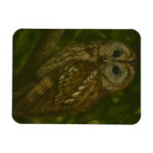 Forest Sentinel - Tawny Owl Wildlife Art Magneet (Horizontaal)