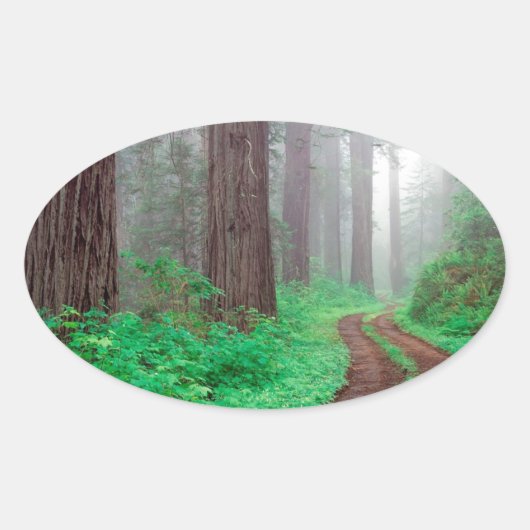 Forest sequwood ovale sticker (Voorkant)