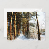 Forest Sneeuw Scene PCCNA Briefkaart (Voorkant / Achterkant)