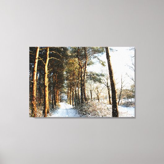 Forest Sneeuwscène 36x24 (90x60cm) waccna Canvas Afdruk (Voorkant)