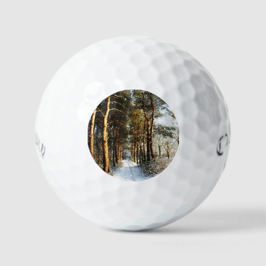 Forest Sneeuwscène css gbcnm Golfballen (Voorkant)