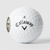 Forest Sneeuwscène css gbcnm Golfballen (Logo)