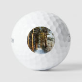 Forest Sneeuwscène ssf gbcnm Golfballen (Voorkant)