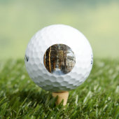 Forest Sneeuwscène ssf gbcnm Golfballen (Insitu Shirt)