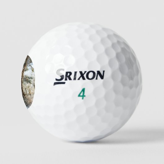 Forest Sneeuwscène ssf gbcnm Golfballen (Logo)