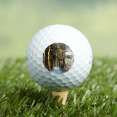 Forest Sneeuwscène tpv1 gbcnm Golfballen (Insitu Shirt)