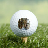 Forest Sneeuwscène via gbcnm Golfballen (Insitu Shirt)