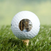 Forest Sneeuwscène Wu gbcna Golfballen (Insitu Shirt)