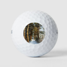 Forest Sneeuwscène wu gbcnm