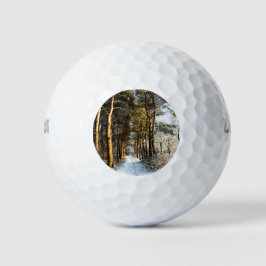 Forest Sneeuwscène wu gbcnm Golfballen