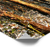 Forest Sneeuwscène Wwapcnm Poster (Hoek)