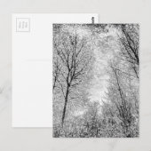 Forest Snow Art Briefkaart (Voorkant / Achterkant)
