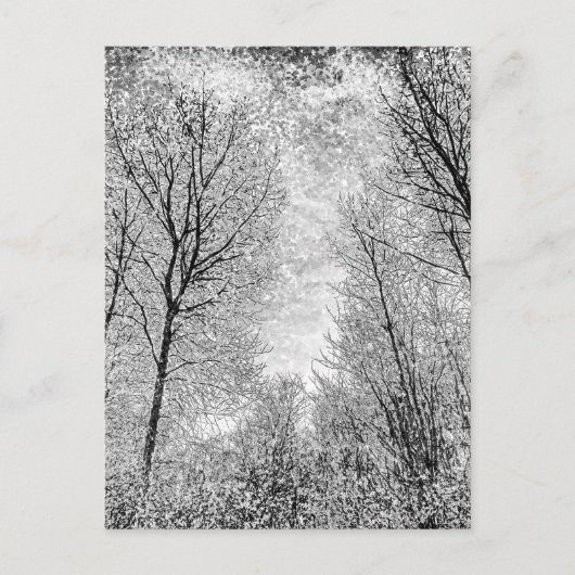 Forest Snow Art Briefkaart (Voorkant)