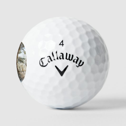 Forest Snow Scene CSS gba Golfballen (Logo)