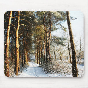 Forest Snow Scene mpcn Muismat