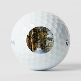 Forest Snow Scene tmtp5 gbcna Golfballen