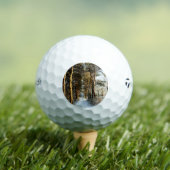 Forest Snow Scene tmtp5 gbcna Golfballen (Insitu Shirt)