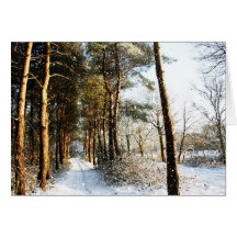 Forest Snow Scene (WCGM)