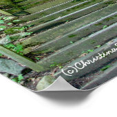 Forest Stairs Path Poster (Hoek)