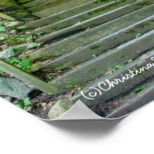 Forest Stairs Path Poster (Hoek)