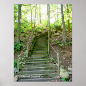 Forest Stairs Path Poster (Voorkant)