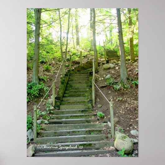 Forest Stairs Path Poster (Voorkant)