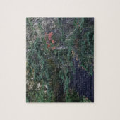 Forest Steps in Early Autumn Legpuzzel (Verticaal)