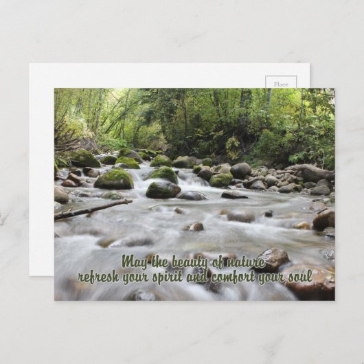 Forest Stream-briefkaart Briefkaart (Voorkant / Achterkant)