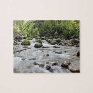 Forest Stream-fotopuzzel Legpuzzel