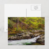 Forest Stream In Great Smoky Mountains Briefkaart (Voorkant / Achterkant)
