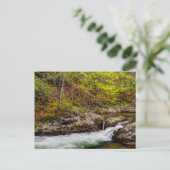 Forest Stream In Great Smoky Mountains Briefkaart (Staand voorkant)