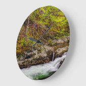 Forest Stream in Great Smoky Mountains Grote Klok (Hoek)
