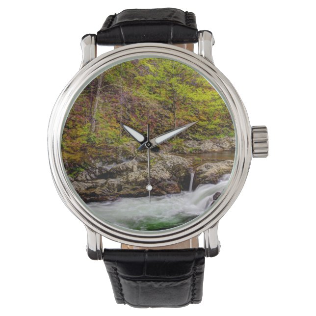 Forest Stream In Great Smoky Mountains Horloge (Voorkant)