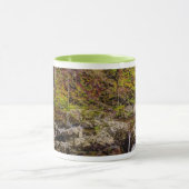 Forest Stream in Great Smoky Mountains Mok (Midden)