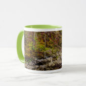 Forest Stream in Great Smoky Mountains Mok (Voorkant links)