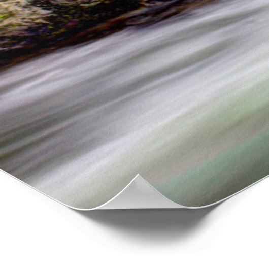 Forest Stream In Great Smoky Mountains Poster (Hoek)