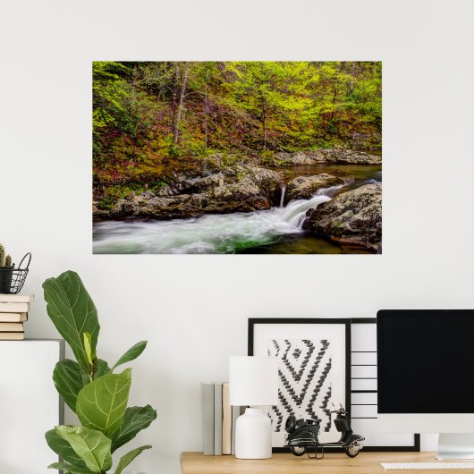Forest Stream In Great Smoky Mountains Poster (Thuiskantoor)
