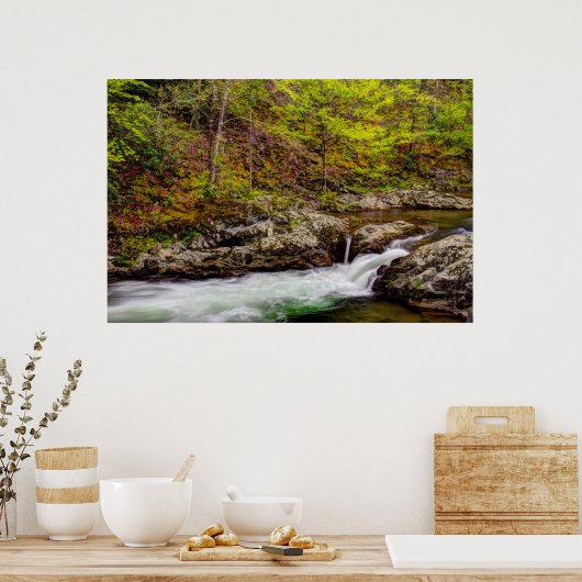 Forest Stream In Great Smoky Mountains Poster (Keuken)
