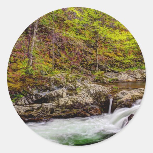 Forest Stream In Great Smoky Mountains Ronde Sticker (Voorkant)