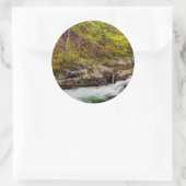 Forest Stream In Great Smoky Mountains Ronde Sticker (Tas)