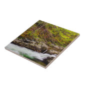 Forest Stream in Great Smoky Mountains Tegeltje (Zijkant)