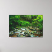 Forest Stream in Lush Woodland (Dargle River) Canvas Afdruk (Voorkant)