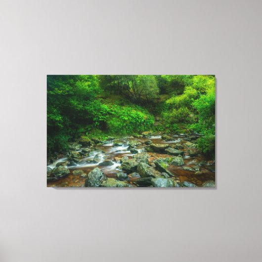 Forest Stream in Lush Woodland (Dargle River) Canvas Afdruk (Voorkant)