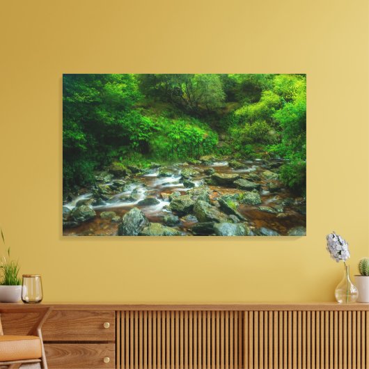 Forest Stream in Lush Woodland (Dargle River) Canvas Afdruk (Insitu (Woonkamer))