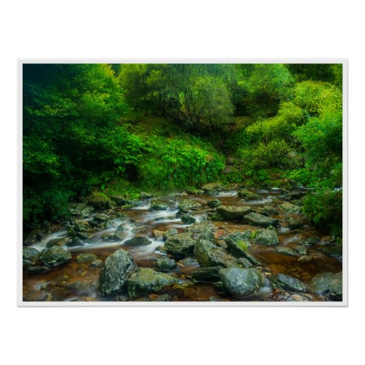 Forest Stream in Lush Woodland (Dargle River) Perfect Poster (Voorkant)