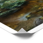 Forest Stream in Lush Woodland (Dargle River) Poster (Hoek)