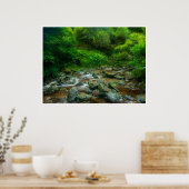 Forest Stream in Lush Woodland (Dargle River) Poster (Keuken)
