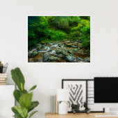 Forest Stream in Lush Woodland (Dargle River) Poster (Thuiskantoor)
